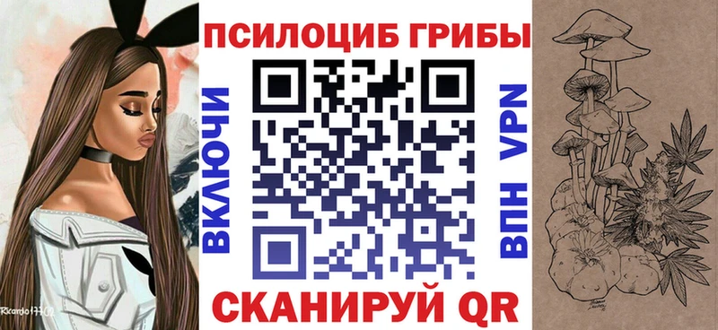 Галлюциногенные грибы прущие грибы  где найти   Ясный 